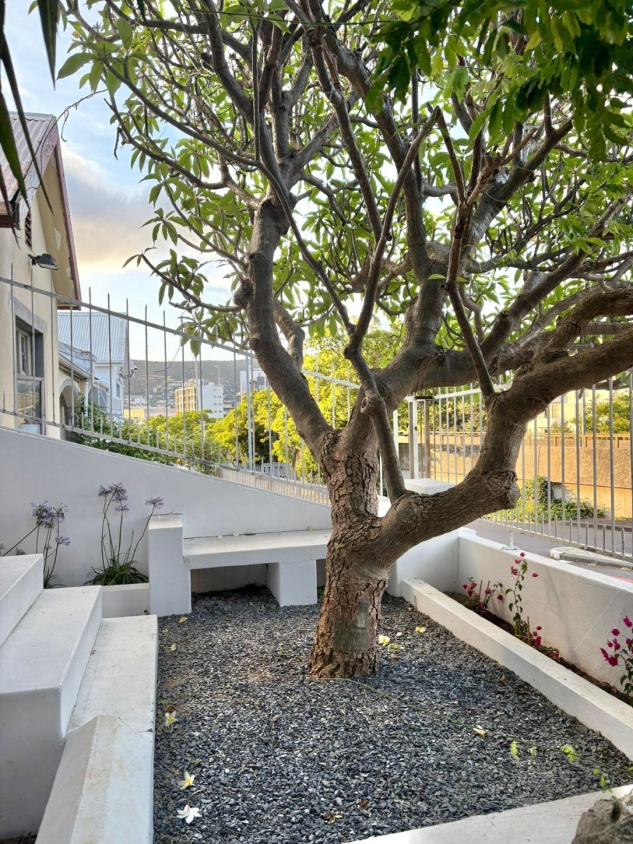 To Let 1 Bedroom Property for Rent in Vredehoek Western Cape
